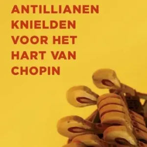 Aanbieding Waarom elf Antillianen knielden voor het hart van Chopin (e-book)