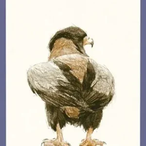 333 Vogels - Peter Vos Koopje