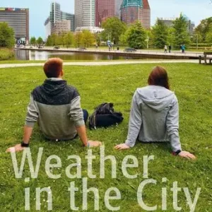 Weather in the city Rechtstreeks Van De Fabrikant