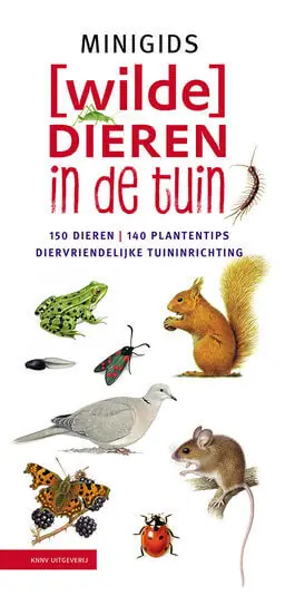 [Wilde] dieren in de tuin set 3 ex Betaalbaar