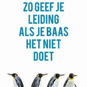 Zo geef je leiding als je baas het niet doet[ e-boek] Superprijs