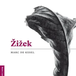 Zizek[ e-boek] Snelle Levering