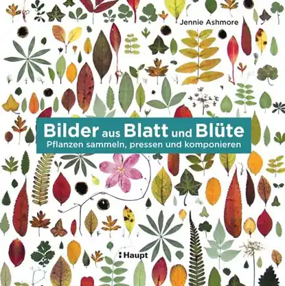 Meest Verkocht Bilder aus Blatt und Blüte