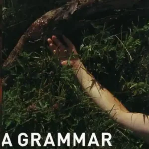 A Grammar of Murder Veilige Betaling