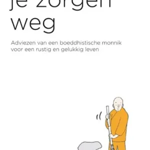 Veeg je zorgen weg Direct Verzonden