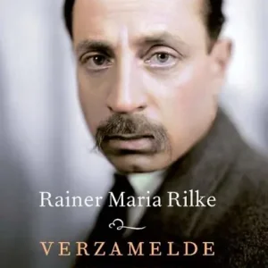 Verzamelde brieven Alleen Vandaag