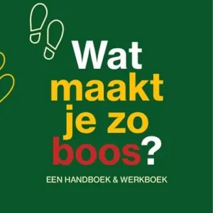 Wat maakt je zo boos? Laatste Kans