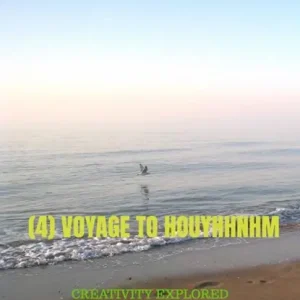 (4) VOYAGE TO HOUYHHNHM Betaalbaar