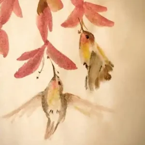 Address Book Hummingbirds Dagaanbieding