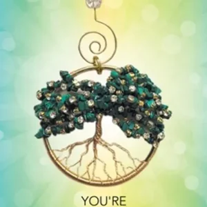 YOURE NOT F-CKING CRAZY Laatste Versie