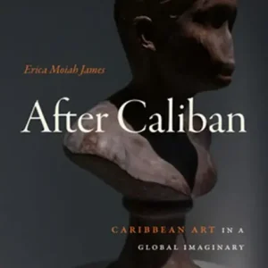 After Caliban: Caribbean Art in a Global Imaginary Direct Verzonden