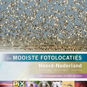 Alleen Vandaag Noord-Nederland