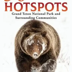 Alleen Vandaag 50 Wildlife Hotspots