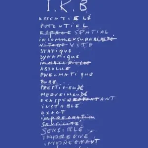 Yves Klein Bestel Nu